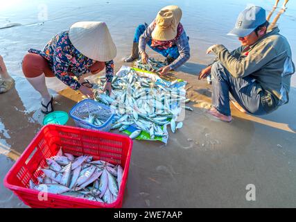 Fischmarkt Session Seeszene Menschen versammelten sich im Korb Fischverkauf, anstrengende Ruderfischer brachten an Land Fischerdorf in Phan Thiet Stockfoto