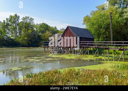 Holzhaus auf Stelzen am Ufer der kleinen Donau und Schilf im Vordergrund, Wasserradmühle Tomasikovo, Wassermühle, Tomasikovo, Tallos Stockfoto