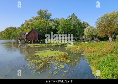 Eine hölzerne Fußgängerbrücke führt zu einer hölzernen Mühle auf dem ruhigen Wasser der kleinen Donau umgeben von Grün, Wasserradmühle Tomasikovo, Wassermühle Stockfoto