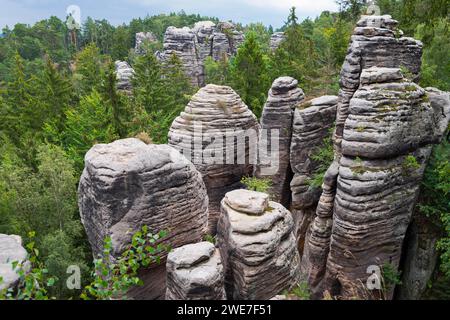 Überlagerte Sandsteinfelsen umgeben von Wald, Blick auf die Baumkronen, Prachovske Skaly, Prachov Felsen, Böhmisches Paradies, Cesky raj, Tschechisch Stockfoto