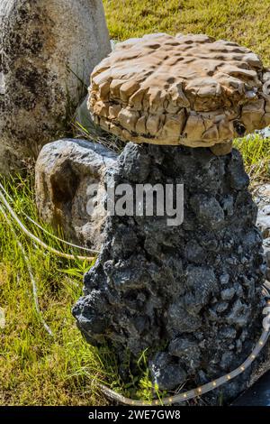 Großer runder, flacher Stein auf schwarzem Granitstein im öffentlichen geologischen Park in Gimcheon, Südkorea Stockfoto