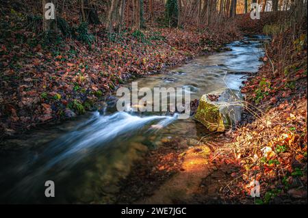 Lange Exposition des Flusses Leutra im Bezirk Jena West, der im Spätherbst durch einen kleinen Park fließt, Jena, Thüringen, Deutschland Stockfoto