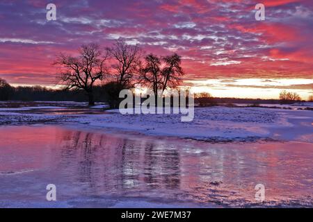 Winterfluten 2024 auf Elbe und Mulde mit Überschwemmungen der Wiesen, Eis auf den Wiesen durch Hochwasser im Winter, Morgenstimmung in der Elbe Stockfoto