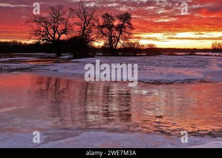 Winterfluten 2024 auf Elbe und Mulde mit Überschwemmungen der Wiesen, Eis auf den Wiesen durch Hochwasser im Winter, Morgenstimmung in der Elbe Stockfoto