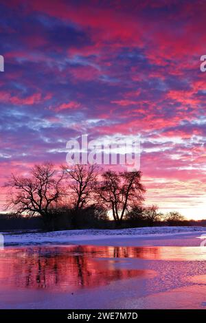 Winterfluten 2024 auf Elbe und Mulde mit Überschwemmungen der Wiesen, Eis auf den Wiesen durch Hochwasser im Winter, Morgenstimmung in der Elbe Stockfoto