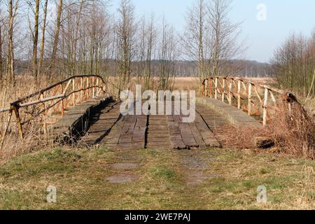 Baufällige Infrastruktur an der Trebel, alte baufällige Brücke über die Trebel, Naturpark Flusslandschaft Peenetal Stockfoto