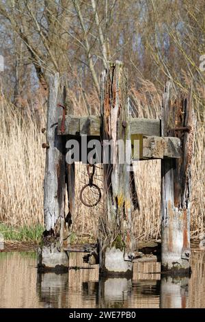 Baufällige Infrastruktur am Fluss Trebel, baufälliger Delfin als Anlegeplatz für Schiffe im Fluss Trebel, Peene Valley River Landscape Naturpark Stockfoto