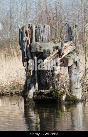 Baufällige Infrastruktur am Fluss Trebel, baufälliger Delfin als Anlegeplatz für Schiffe im Fluss Trebel, Peene Valley River Landscape Naturpark Stockfoto