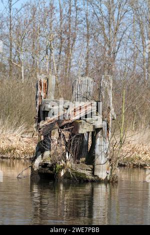 Baufällige Infrastruktur am Fluss Trebel, baufälliger Delfin als Anlegeplatz für Schiffe im Fluss Trebel, Peene Valley River Landscape Naturpark Stockfoto