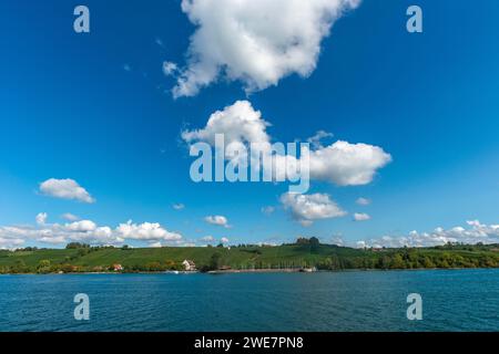 Segelhafen, Weinberge, blauer Himmel, Hagnau am Bodensee, Baden-Württemberg, Deutschland Stockfoto