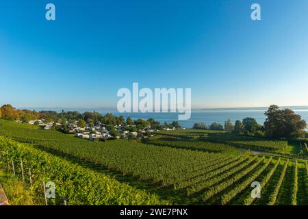 Campingplatz, Wohnwagen, blauer Himmel, Weinberge, Hagnau am Bodensee, Baden-Württemberg, Deutschland Stockfoto