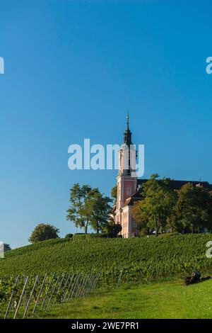 Weinbau am Hang, Wallfahrtskirche Birnau, Uhldingen-Mühlhofen, Bodensee, Baden-Württemberg, Deutschland Stockfoto