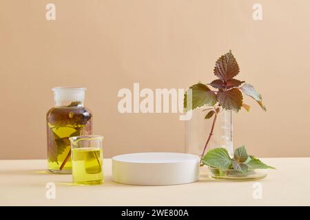 Weißes Podium in runder Form auf beigefarbener Ebene mit anderen Laborgläsern. Beefsteak Plant (Perilla frutescens) ist ein Kraut mit einer Zahl Stockfoto