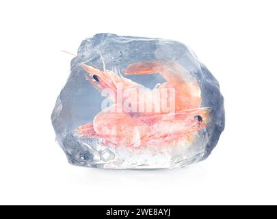 Tiefkühlkost. Gekochte ganze Garnelen in Eiswürfeln isoliert auf weiß Stockfoto