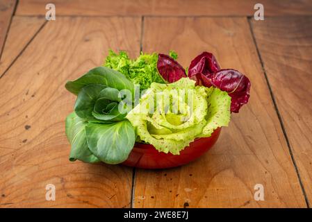 Vier Salate in einer Tasse auf einem antiken Holztisch: Grüner Grumolo-Zichorie, Radicchio aus Chioggia, Radicchio aus Castelfranco und Curly-Salat. Stockfoto