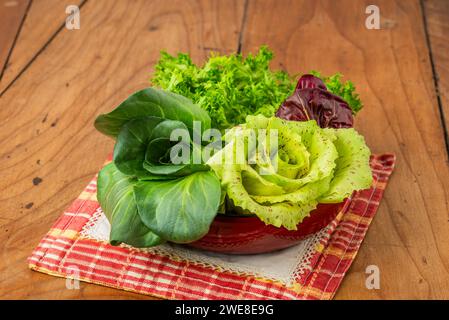 Vier Salate in einer Tasse auf einem antiken Holztisch: Grüner Grumolo-Zichorie, Radicchio aus Chioggia, Radicchio aus Castelfranco und Curly-Salat. Stockfoto