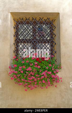 Burg Hasegg, Innenhof, Fenster Stockfoto