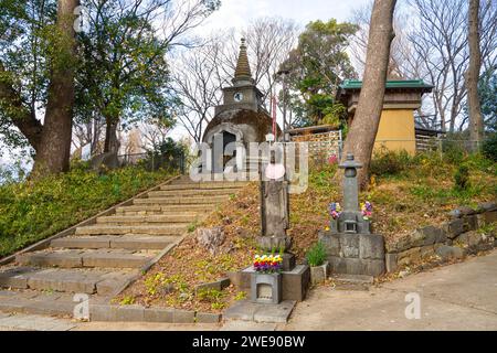 Tokio, Japan. Januar 2024. Panoramablick auf die Gärten des buddhistischen Tempels der Yakushido-Pagode im Ueno-Park im Stadtzentrum Stockfoto