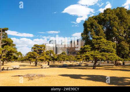 Tokio, Japan. Januar 2024. Panoramablick auf den Kokyo Gaien National Garden im Stadtzentrum Stockfoto