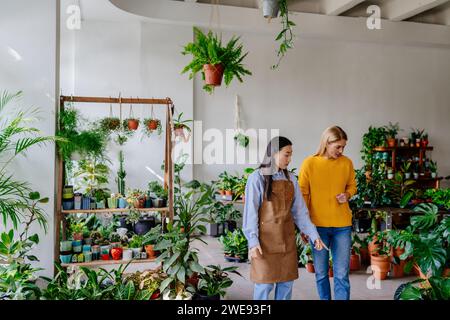 Junger asiatischer Geschäftsinhaber in einer Schürze und einer wunderschönen Blondine mittleren Alters, spazieren Sie durch einen Blumenladen und beobachten Sie das Sortiment. Stockfoto