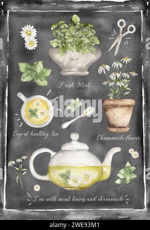 Handgemalte Aquarell Kräutertee Komposition auf Tafel, Teezeit Illustration: Kräuter, Gänseblümchen, Minze auf dem Topf, Teeblätter, Löffel und Schere auf Stockfoto