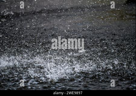 Tropfen starken Regens auf dem Wasser, abstrakter natürlicher, selektiver Fokus Hintergrund Stockfoto