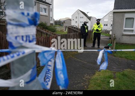 Polizei am Tatort in Tinto View, Hamilton, South Lanarkshire, nachdem ein Mann von einem „großen Hund vom Typ Bulldogge“ angegriffen wurde, der von der Polizei erschossen wurde. Feuerwaffenoffiziere wurden am Dienstag gegen 17 Uhr zum Tatort gerufen, nachdem der Hund als gefährlich außer Kontrolle geraten wurde. Bilddatum: Mittwoch, 24. Januar 2024. Stockfoto