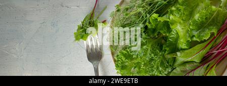 Banner mit Draufsicht auf eine Mischung aus Salaten auf einem Teller und einer Gabel auf dem Tisch. Junge saftige Sprossen aus Erbsen oder Bohnen, Rübensprossen und grüner Salat. Gesundes Lebensmittelkonzept. Flache Lay Soft Focus Stockfoto