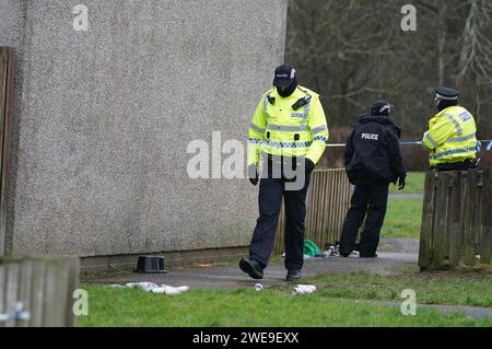 Polizei am Tatort in Tinto View, Hamilton, South Lanarkshire, nachdem ein Mann von einem „großen Hund vom Typ Bulldogge“ angegriffen wurde, der von der Polizei erschossen wurde. Feuerwaffenoffiziere wurden am Dienstag gegen 17 Uhr zum Tatort gerufen, nachdem der Hund als gefährlich außer Kontrolle geraten wurde. Bilddatum: Mittwoch, 24. Januar 2024. Stockfoto