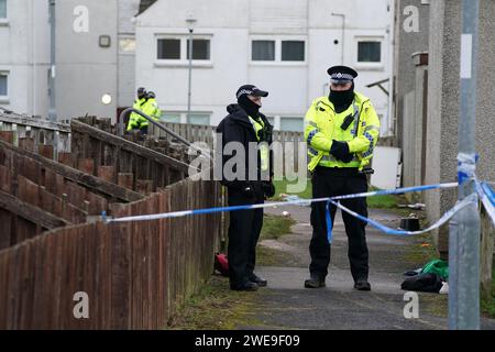 Polizei am Tatort in Tinto View, Hamilton, South Lanarkshire, nachdem ein Mann von einem „großen Hund vom Typ Bulldogge“ angegriffen wurde, der von der Polizei erschossen wurde. Feuerwaffenoffiziere wurden am Dienstag gegen 17 Uhr zum Tatort gerufen, nachdem der Hund als gefährlich außer Kontrolle geraten wurde. Bilddatum: Mittwoch, 24. Januar 2024. Stockfoto