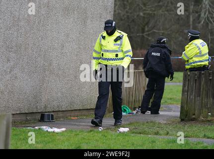 Polizei am Tatort in Tinto View, Hamilton, South Lanarkshire, nachdem ein Mann von einem „großen Hund vom Typ Bulldogge“ angegriffen wurde, der von der Polizei erschossen wurde. Feuerwaffenoffiziere wurden am Dienstag gegen 17 Uhr zum Tatort gerufen, nachdem der Hund als gefährlich außer Kontrolle geraten wurde. Bilddatum: Mittwoch, 24. Januar 2024. Stockfoto