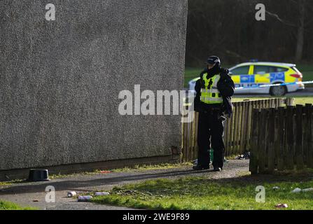 Polizei am Tatort in Tinto View, Hamilton, South Lanarkshire, nachdem ein Mann von einem „großen Hund vom Typ Bulldogge“ angegriffen wurde, der von der Polizei erschossen wurde. Feuerwaffenoffiziere wurden am Dienstag gegen 17 Uhr zum Tatort gerufen, nachdem der Hund als gefährlich außer Kontrolle geraten wurde. Bilddatum: Mittwoch, 24. Januar 2024. Stockfoto