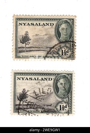 Ein Paar Vintage-Briefmarken von König Georg VI. Aus Nyasaland (Malawi), isoliert auf weißem Hintergrund. Stockfoto
