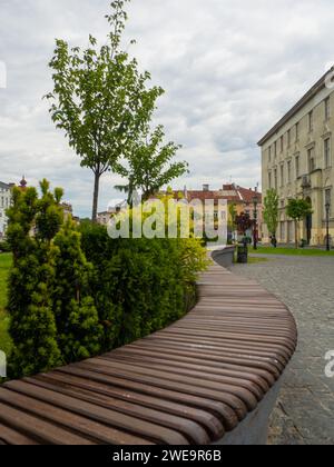 Gebogene Holzbank auf dem Bürgersteig der Stadt neben dem lebhaften grünen Gras Stockfoto