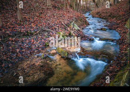 Die Leutra im Bezirk Jena West fließt durch Einen kleinen Park im Spätherbst in Jena, Thüringen Stockfoto