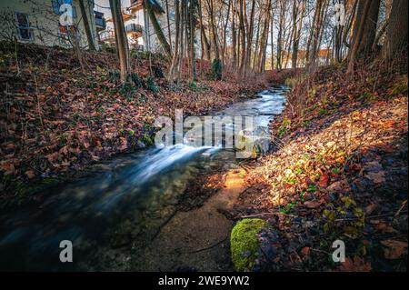 Die Leutra im Bezirk Jena West fließt durch Einen kleinen Park im Spätherbst in Jena, Thüringen Stockfoto