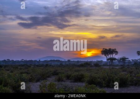 Sonnenaufgang im Samburu Nationalpark, Rift Valley, Kenia, Stockfoto