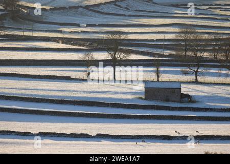 Reihen von Trockenmauern und einer Feldscheune in der Nähe des Dorfes Kettlewell in Upper-Wharfedale, Großbritannien Stockfoto