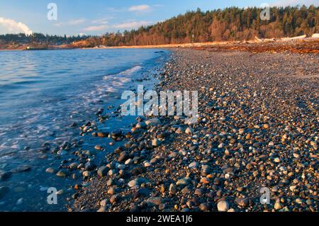 Strand am Admiralty Inlet, Fort Worden State Park, Washington Stockfoto