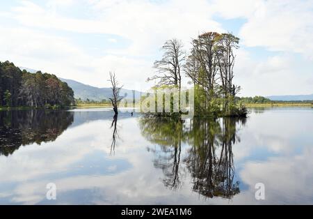 Loch Mallachie, einer der Speyside Forest Lochs im schottischen Abernethy Forest Stockfoto