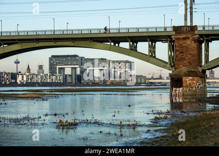 Blick von den überfluteten Rheinwiesen in Poll zur Südbrücke, dem Rheinauer Hafen mit den Kranhäusern, Köln, Deutschland. Blick von den ueberflutete Stockfoto