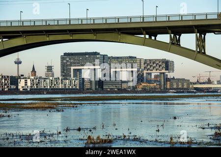 Blick von den überfluteten Rheinwiesen in Poll zur Südbrücke, dem Rheinauer Hafen mit den Kranhäusern, Köln, Deutschland. Blick von den ueberflutete Stockfoto