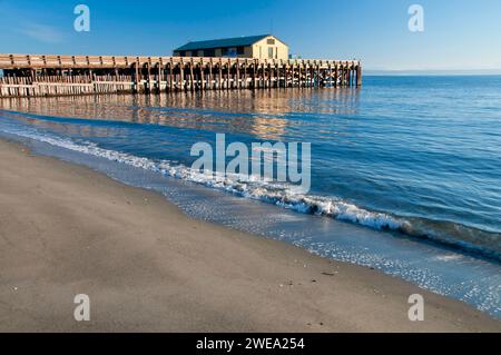 Marine Science Center Pier, Fort Worden State Park, Washington Stockfoto