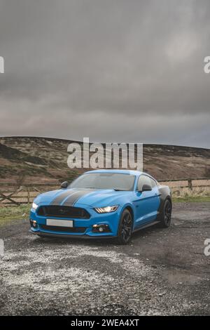 Ford Mustang GT S550 Pre-Facelift Stockfoto