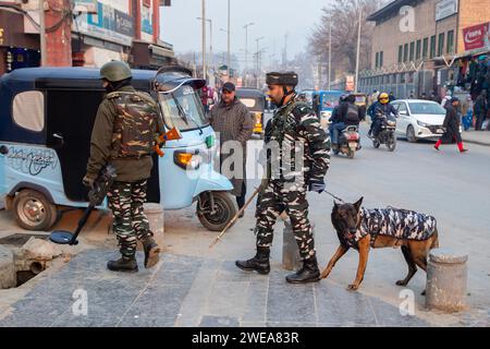 Indische paramilitärische Truppen patrouillieren zusammen mit dem Schnüffelhund vor dem Indischen Republikstag durch die Straßen. Die indischen Behörden im Kaschmir-Tal haben die Sicherheitsmaßnahmen verstärkt, um störende Aktivitäten im Vorfeld der Feierlichkeiten zum Tag der Republik am 26. Januar zu unterbinden. Mit Drohnen und hochauflösenden CCTV-Kameras, die Bewegungen in Echtzeit überwachen, wurden die Fahrzeugfetzen und Inspektionen verstärkt. Der Tag der Republik feiert den Jahrestag der Verabschiedung der indischen Verfassung am 26. Januar 1950. (Foto: Faisal Bashir/SOPA Images/SIPA USA) Stockfoto