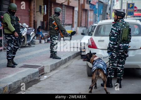Indische paramilitärische Truppen patrouillieren zusammen mit dem Schnüffelhund vor dem Indischen Republikstag durch die Straßen. Die indischen Behörden im Kaschmir-Tal haben die Sicherheitsmaßnahmen verstärkt, um störende Aktivitäten im Vorfeld der Feierlichkeiten zum Tag der Republik am 26. Januar zu unterbinden. Mit Drohnen und hochauflösenden CCTV-Kameras, die Bewegungen in Echtzeit überwachen, wurden die Fahrzeugfetzen und Inspektionen verstärkt. Der Tag der Republik feiert den Jahrestag der Verabschiedung der indischen Verfassung am 26. Januar 1950. (Foto: Faisal Bashir/SOPA Images/SIPA USA) Stockfoto