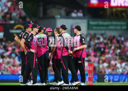 24. Januar 2024; Sydney Cricket Ground, Sydney, NSW, Australien: Big Bash T20 League Final, Sydney Sixers gegen Brisbane Heat; Sixers Spieler warten auf die Entscheidung der DRS Stockfoto