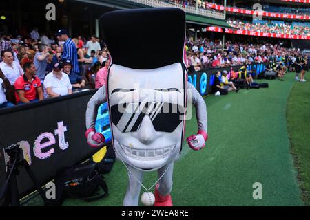 24. Januar 2024; Sydney Cricket Ground, Sydney, NSW, Australien: Big Bash T20 League Final, Sydney Sixers gegen Brisbane Heat; Sydney Sixers Maskottchen Stockfoto