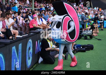 24. Januar 2024; Sydney Cricket Ground, Sydney, NSW, Australien: Big Bash T20 League Final, Sydney Sixers gegen Brisbane Heat; Sydney Sixers Maskottchen Stockfoto