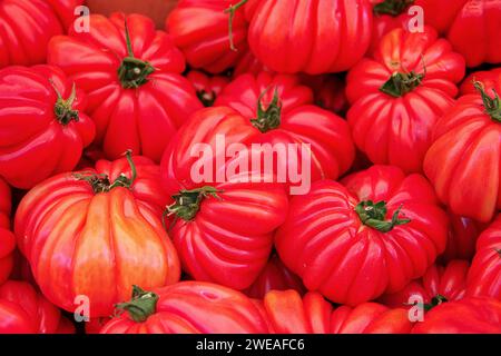 Auswahl an großen roten saftigen, köstlichen Tomaten auf dem Markt Stockfoto